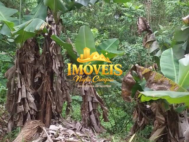 Casa para Venda em Caraguatatuba - 4