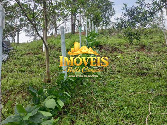 #208 - Chácara para Venda em Caraguatatuba - SP