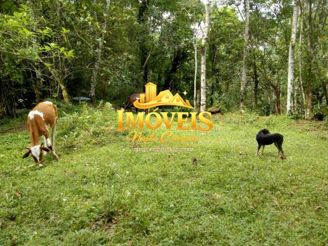 #214 - Chácara para Venda em Caraguatatuba - SP